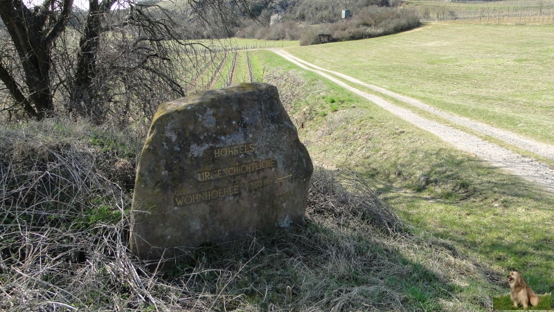 Ritterstein Nr. 293-5 Hohfels urgeschichtliche Wohnhoehle 300m.JPG - Ritterstein Nr.293 Hohfels urgeschichtliche Wohnhoehle 300m